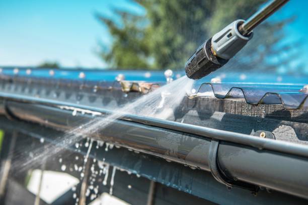 Best Affordable Pressure Washing  in Mapleton, MN