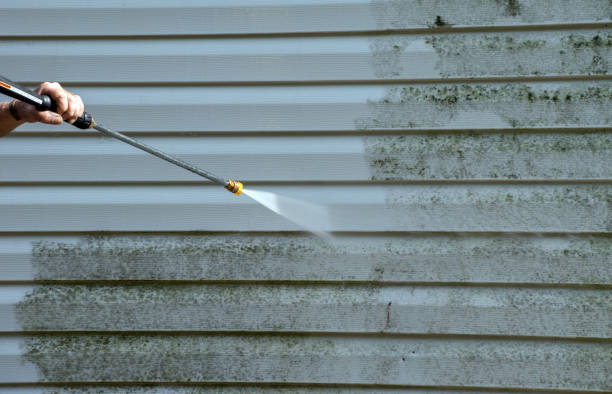 Best Roof Pressure Washing  in Mapleton, MN