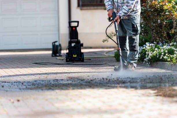 Best Pressure Washing Near Me  in Mapleton, MN