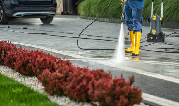 Best Concrete Pressure Washing  in Mapleton, MN