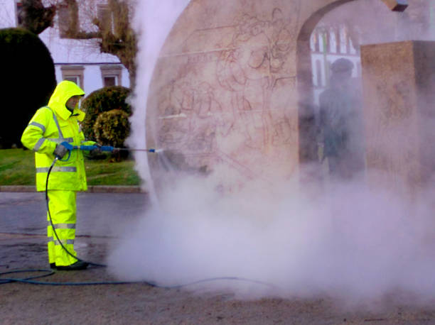 Best Residential Pressure Washing Services  in Mapleton, MN