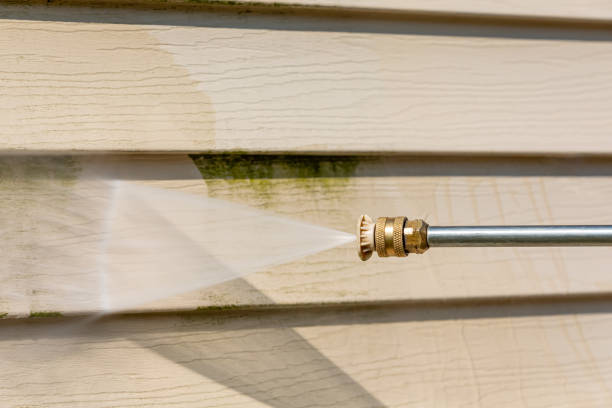 Best Roof Power Washing Services  in Mapleton, MN