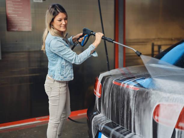 Best Exterior Home Cleaning  in Mapleton, MN