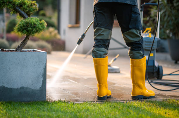 Best Affordable Power Washing  in Mapleton, MN